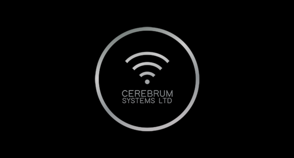 Cerebrum Systems - Meet The Team