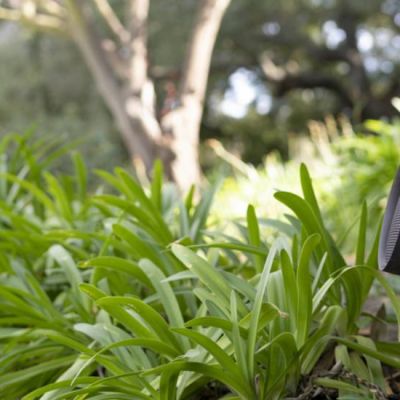 Outdoor Audio - BBQ's, Gardens, Parties