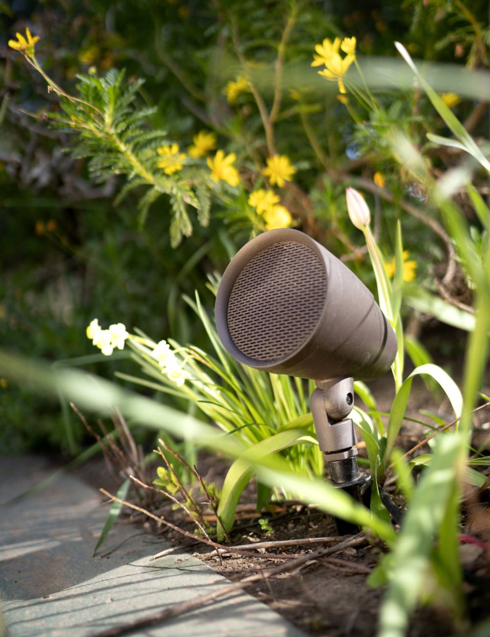 Outdoor Audio - BBQ's, Gardens, Parties